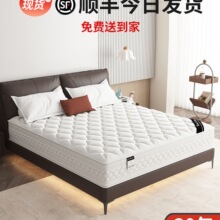 ϯ��˼���|��������ӲҬ��1.5��20cm�����zܛ�|���������ⷿ