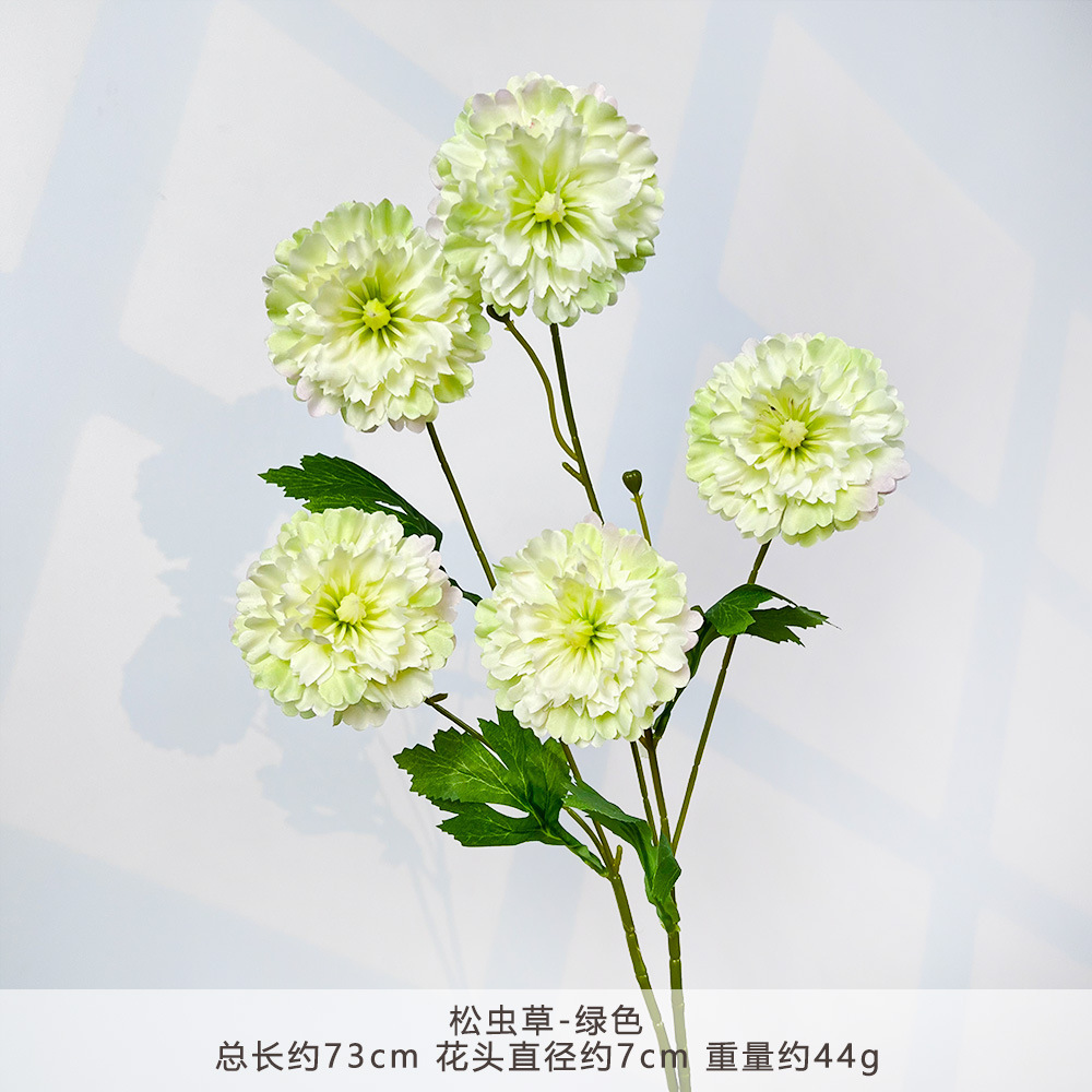 MJ-松虫草-绿色