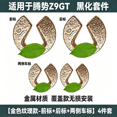 Car logo – with auspicious cloud pattern design - suitable-for-denza-z9gt-gold-textured-model-front-badge-rear-badge-side-c-pillar-badges-4-piece-set-comes-with-front-and-rear-water-drop-badges