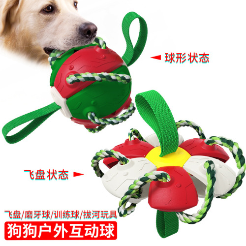 Pet Products Factory Wholesale Company New Amazon Outdoor Training Frisbee Interactive Football Dog Toy