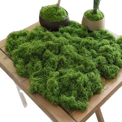 羊毛造景掉色不植物墙水陆缸假山石头仿真苔藓青苔缸藓园林雨淋|undefined