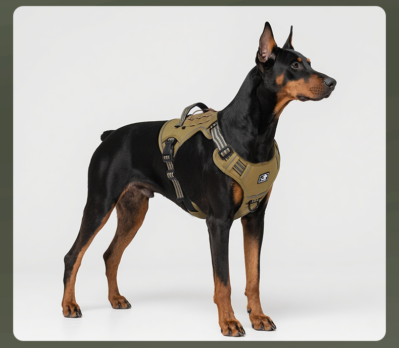 Tactical Dog Harness And Leash Set For Medium And Large Dogs_voghion.com