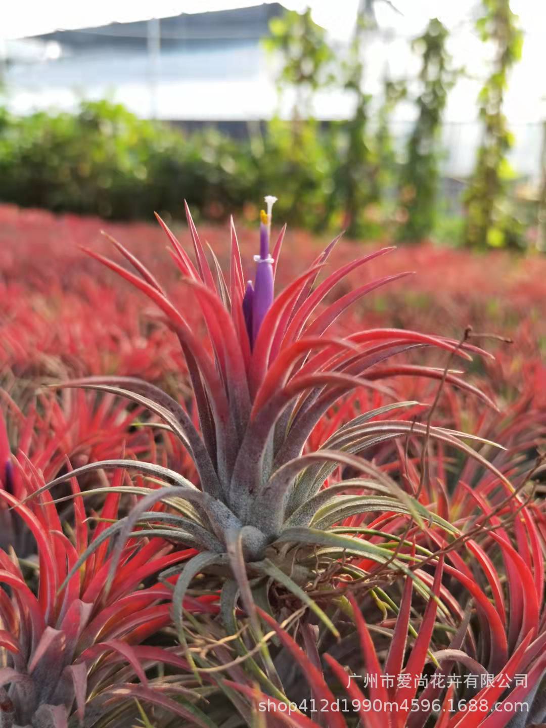 微信图片_20211105033619