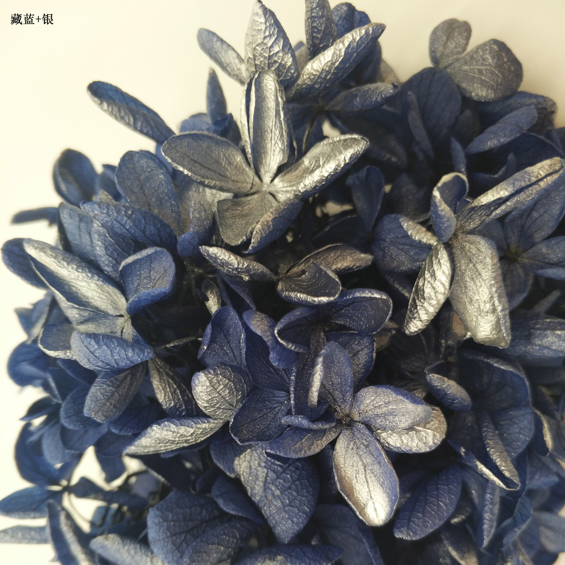 Azul marino plus plata-100g/caja