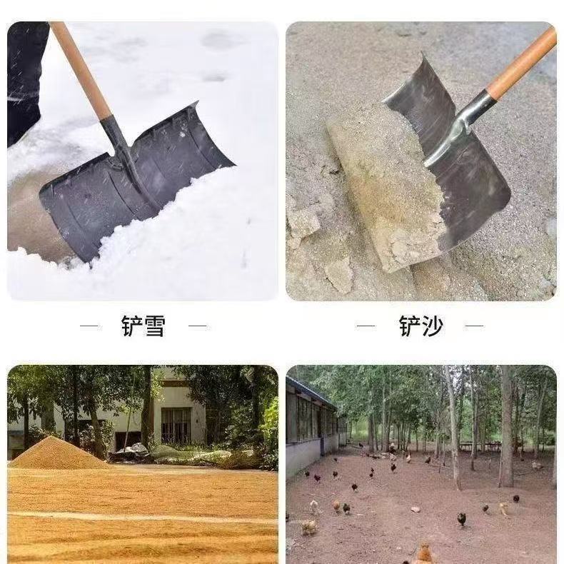 微信图片_20251015131013_139_33.jpg