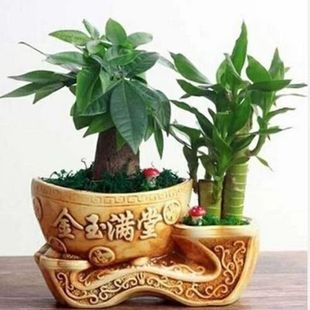 �lؔ�主�F�����մ���lؔ�����Ժɻ����k���҃��ļ�����Gֲ����