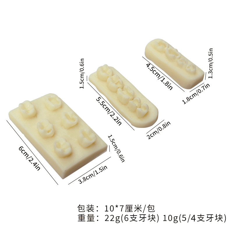 Ejercicios de rellenos de canales radiculares de dientes Inserción de resina Modelo de ejercicio de examen Ejercicios dentales Bloques de resina