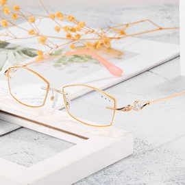 太阳镜;老花镜;框架眼镜