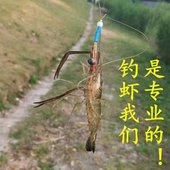 手工蝦鈎 釣小龍蝦 河蝦 自帶鉛墜青蝦草蝦鈎 中鈎率高釣蝦線組