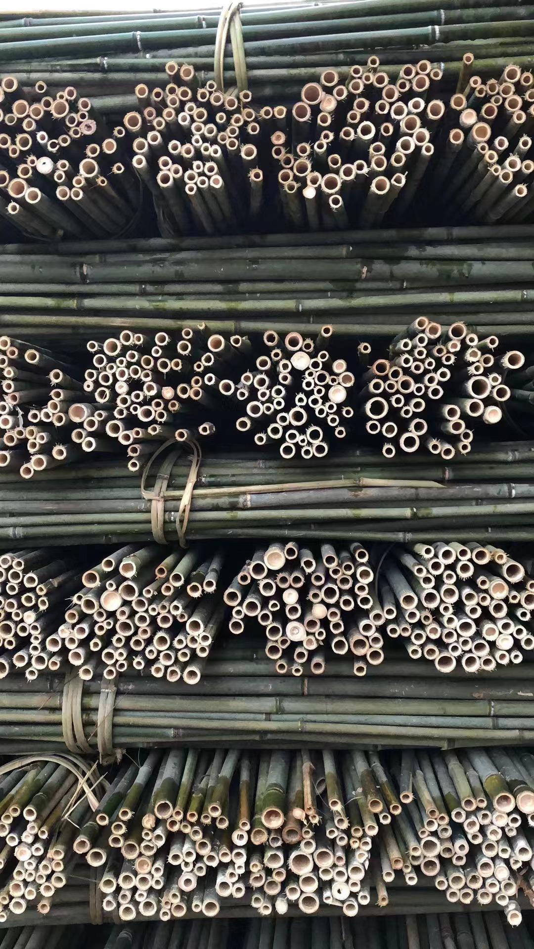 微信图片_202402211424101