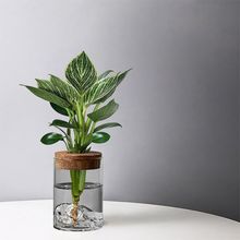 ����ˮ��ֲ�������k��������Gֲ����ƿ�[���҃ȾG�}���ܑ��˺��B