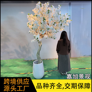 ����ѻ��� �҃ȾƵ��Y��ľ�U����ٻ��������쾰 �����ѻ���