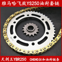 适用飞致YS250链盘链条大小飞牙盘齿轮 雅马哈天剑王YBR250油封链