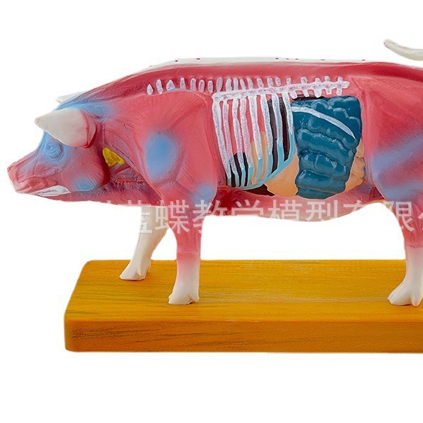 �������Ѩλģ�� ������ģ�� ��ҽģ�� ����ģ�� �����ģ��