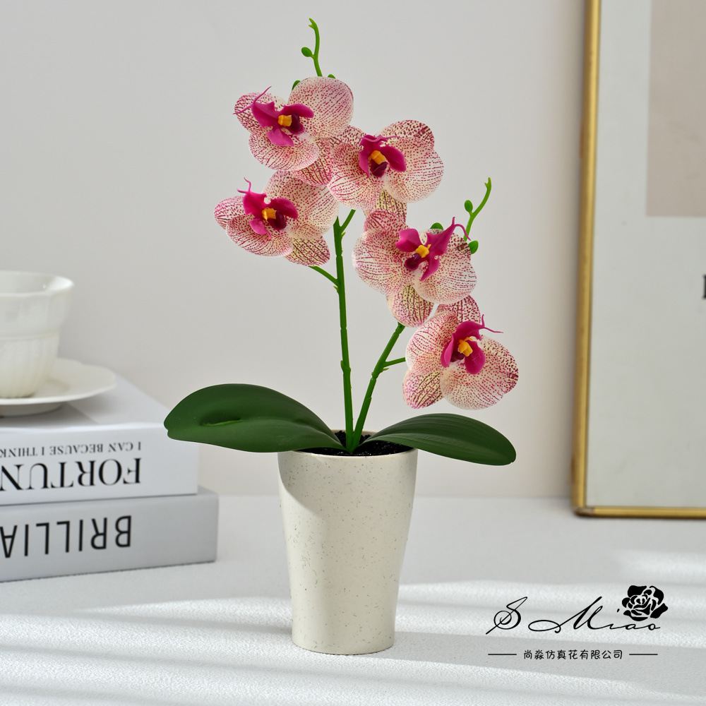 Dos dientes cinco flores sensación de mano pequeña orquídea mariposa imitación bonsai flores falsas decoración del hogar fotografía flores artificiales flores de boda