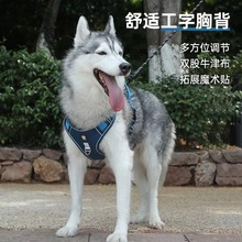 跨境宠物牵引绳防爆冲大狗胸背中大型犬狗狗背带防撕咬耐磨狗脖圈