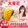 越南代发切块新鲜果盘