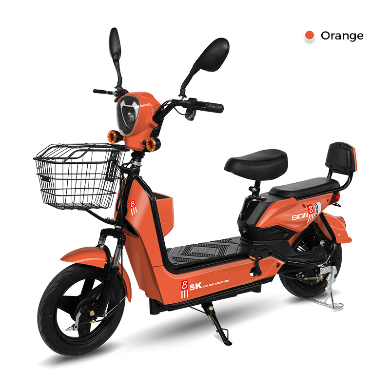 FL - 0002 - Golden Eagle nuevo fabricante de vehículos eléctricos al por mayor de dos ruedas coche de batería fábrica de bicicletas eléctricas E-bike