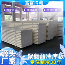 冷庫板 冷庫保溫庫板 阻燃冷庫板 聚氨酯冷庫板 PU冷庫板