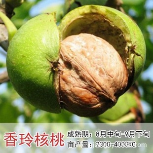 9818������޽Ӽ�Ƥ���Ҙ����ϱ����NֲͥԺ���Ե��Ի��箔��Y��