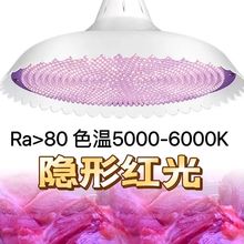 生鲜灯白光猪肉鲜肉灯2023新款蔬菜水果熟食灯型高显高亮商用货源