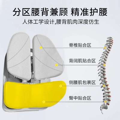 Hard Support Lumbar Cushion, Office – Waist support