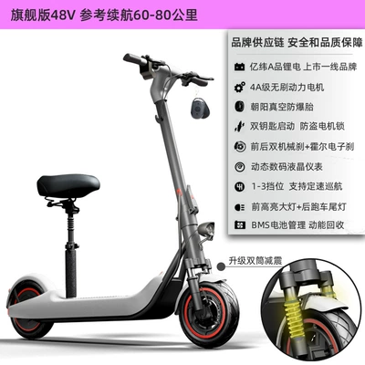 Mount Two-Wheel Battery Portable — Qatlanan elektrik skuterlər - 48v-whitelisted-brand-lithium-batterychaoyang-tubeless-tire4a-motorremovable-battery-60-80km-upgraded-double-barrel-shock-absorption-48v