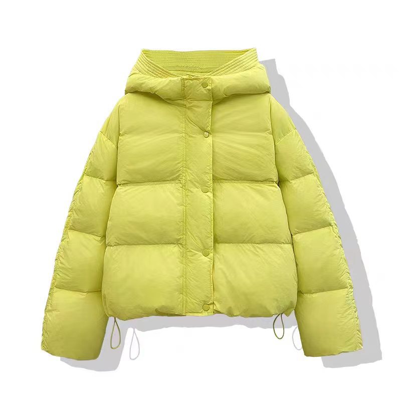 Women's Simple Style Solid Color Single Breasted Zipper Coat Cotton Clothes display picture 5