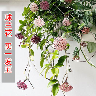 �ļ����m�����ԾG�~���m�������҃����̨���ٵ��m���������λ���