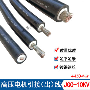 10KV�߉���|JEM/JFEYH 6-200ƽ����|�߉�늙C������a�~о��|