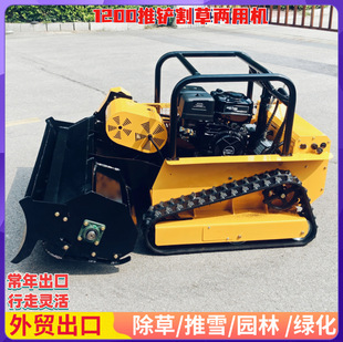 �@�����P��݃��ÙC  ͥԺ�ĵس�������һ�w�C ���̹��@���I�C��