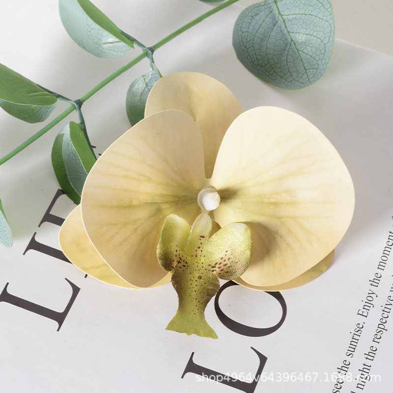 Película blanca Phalaenopsis flor cabeza pétalo simulación flor accesorios tocado horquilla diy flor decorativa de boda hecha a mano