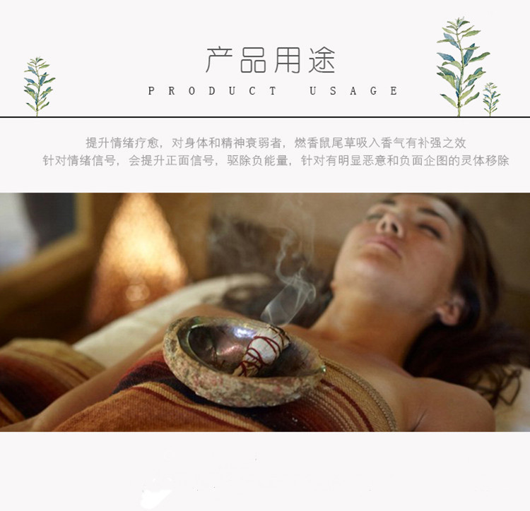 澳洲白鲍鱼贝壳大海螺创意家居摆件烧鼠尾草容器观赏鱼缸盆栽装饰 图 14