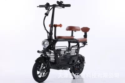 Vietnam Two-Wheeled Pet Lithium Qatlanan elektrik velosipedlər - pet-48v12ah-black