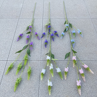 5�^������β��  ���滨 ��c�Ӽ��bٻ� ���l