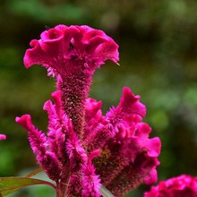 uڻNlݻܷN^pڠuڹ̾G^ͥԺû