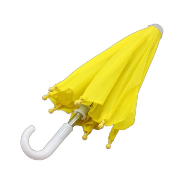 Toy