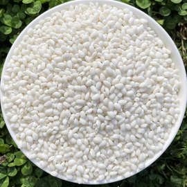白糯米新米圆粒粘糯米黏大米东北粗杂粮江米包粽子米糍粑5斤