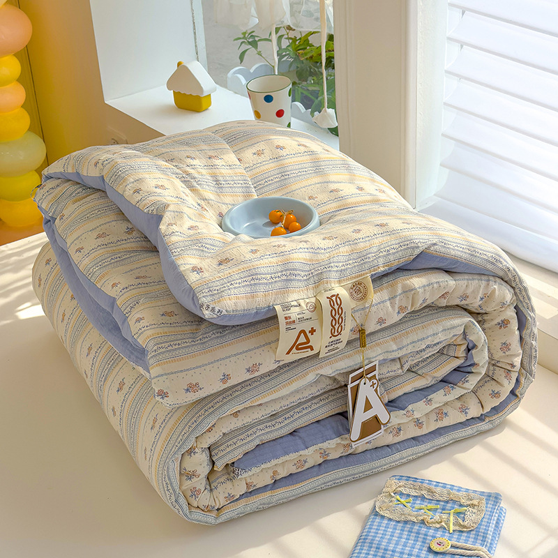 Winter Thickeneded Class a Cloud-Sense Double-Layer Yarn Quilt Student Dormitory Single Winter Quilt Four-Season Warm Quilt Core Gift Quilt