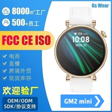 2025��羳�¿�GM2mini�����ֱ����{��ͨԒ�����\���ֱ����S���l