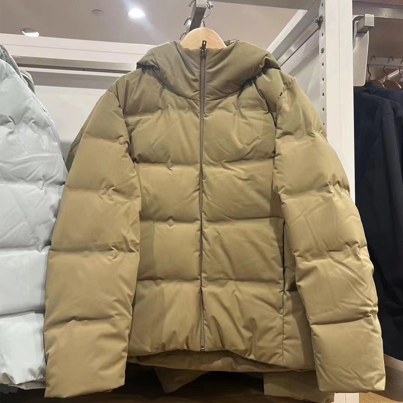 사막 갈색470077