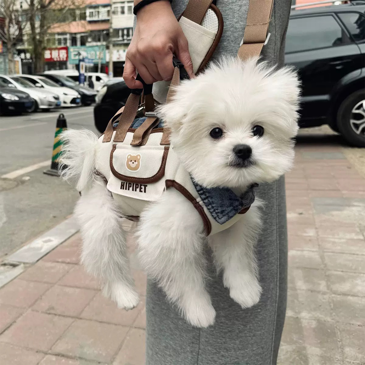 Mochila de salida para perros transfronterizos Mochila de remolque para mascotas portátil y transpirable con correa de mensajero Productos para mascotas