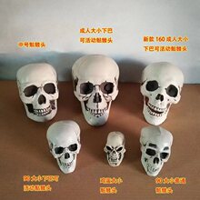 �������t�^ �f�}������ �ֲ����^�ưɹ������Қ�ղ��Ô[���Ɍ��^