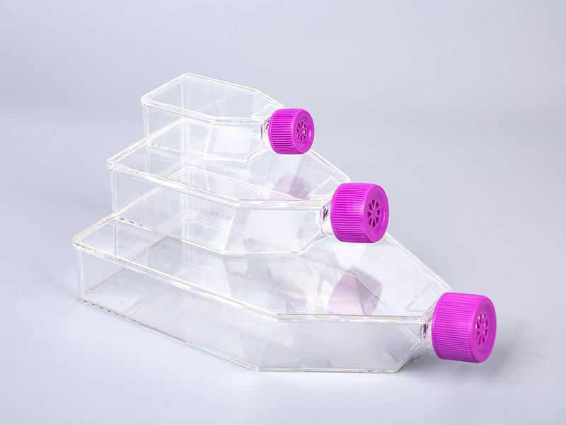 Bioland贝兰伯 无死角细胞培养瓶PS聚苯乙烯 25cm2 75cm2