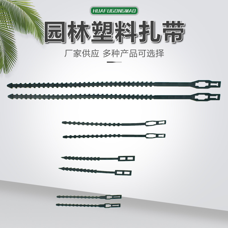供应园林塑料扎带捆扎带绑带园林扎带调节带齿带ＰＥ全新料生产