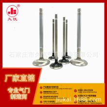 专业厂家，现货供应进排气门 A2820500300,A2820531000