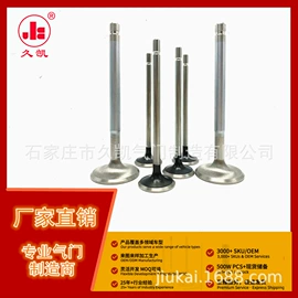 气门及部件;油封;活塞/活塞环