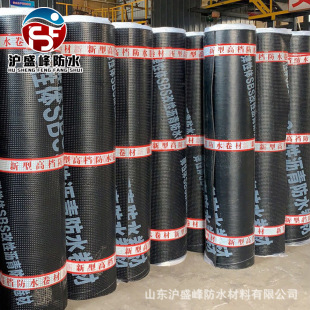 sbs��ˮ���� �����픷�ˮ�a© �S�ҹ��� ���B���̏����w���Ԟr��