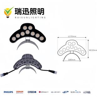 Factory Direct Sales 3W6W9W12W Outdoor Waterproof Led Ancient Building Corrugated Light Dc24V Roof Tile Light Lighting