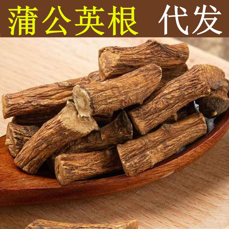Dandelion Root Dandelion Root Tea Dandelion Root Slices Wholesale Dandelion 150g Canned Clear